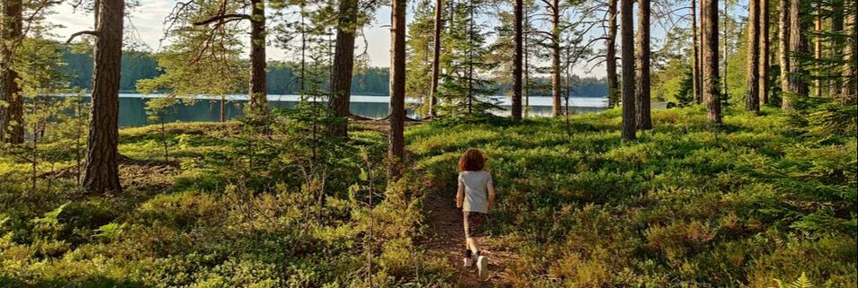 green forest run